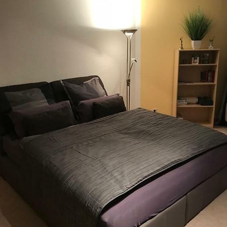 Kleine Wohnung Im Gruenen Dresda Esterno foto