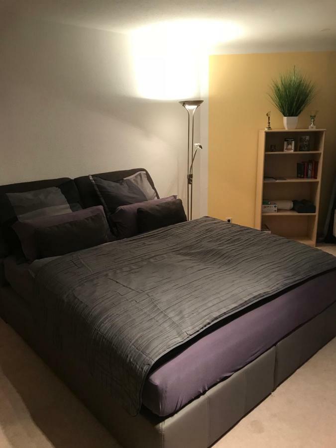 Kleine Wohnung Im Gruenen Dresda Esterno foto