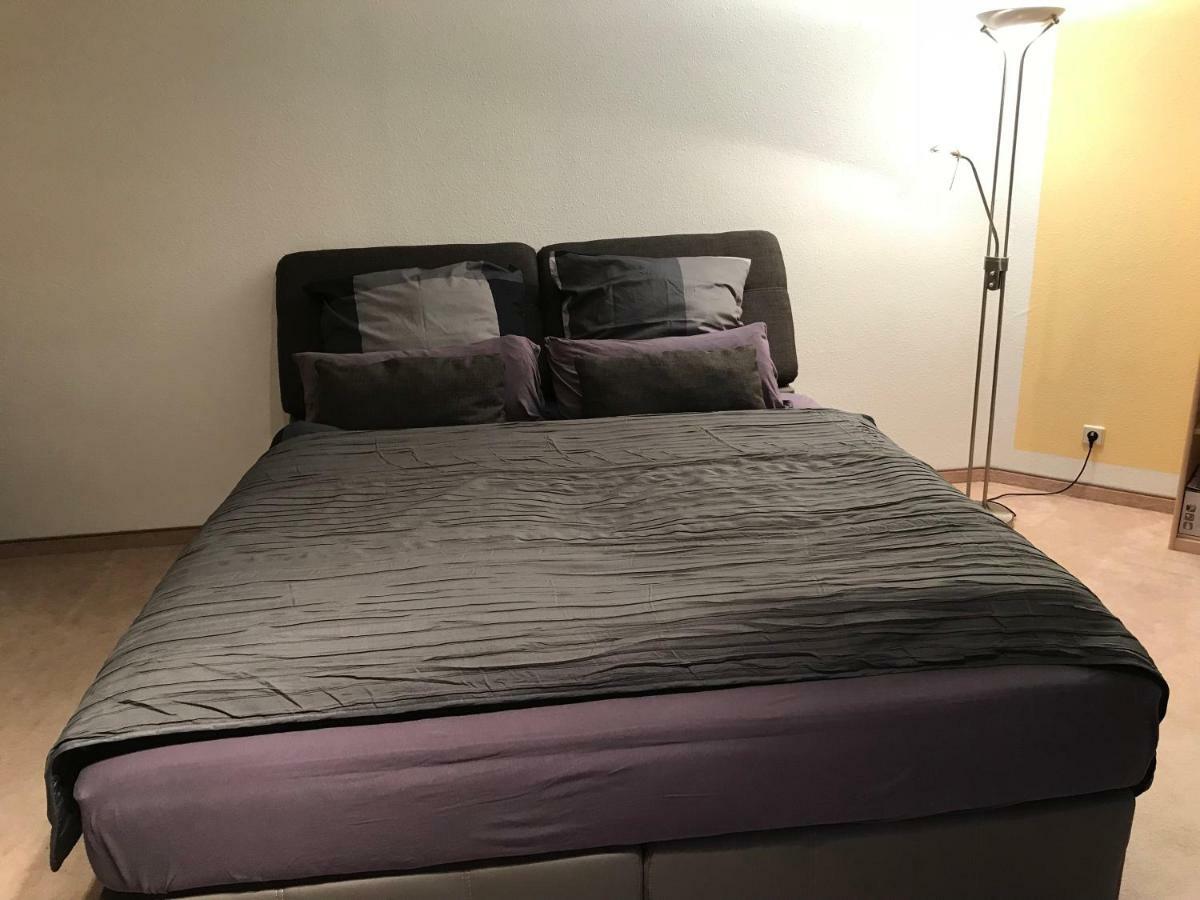 Kleine Wohnung Im Gruenen Dresda Esterno foto