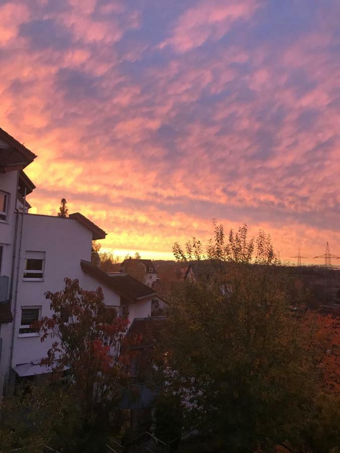 Kleine Wohnung Im Gruenen Dresda Esterno foto